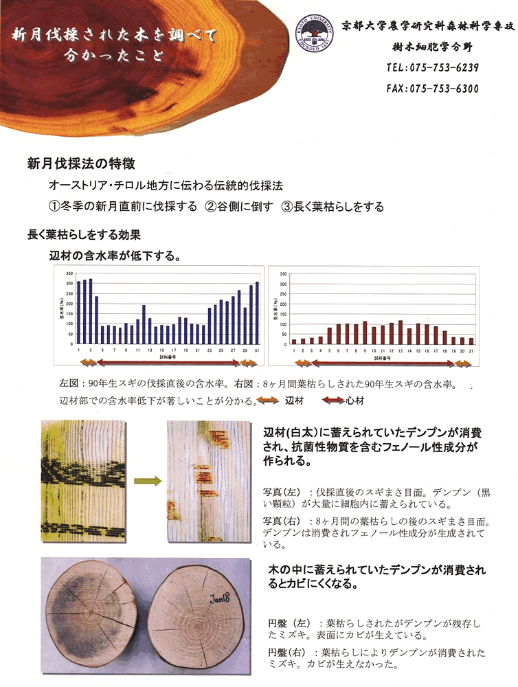 新月伐採6